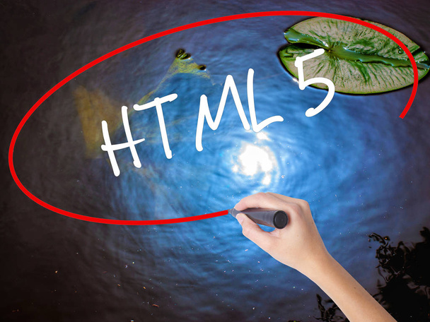 Scrittura a mano donna HTML 5 con pennarello su lavagna trasparente
 - Foto, immagini