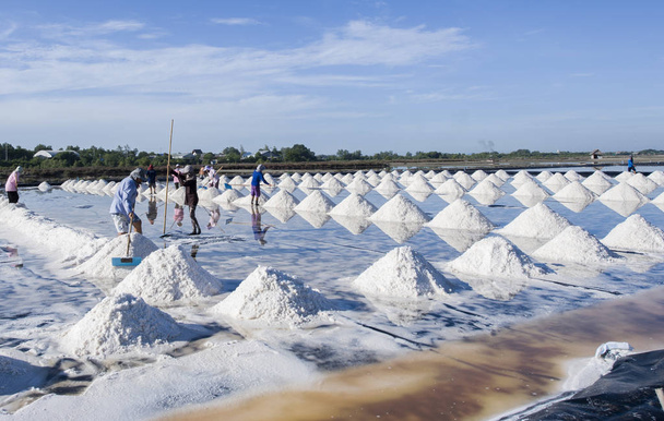 Campo de sal marinho na Tailândia
 - Foto, Imagem