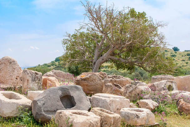 Ruinas arqueológicas en Beit Guvrin, Israel
. - Foto, Imagen