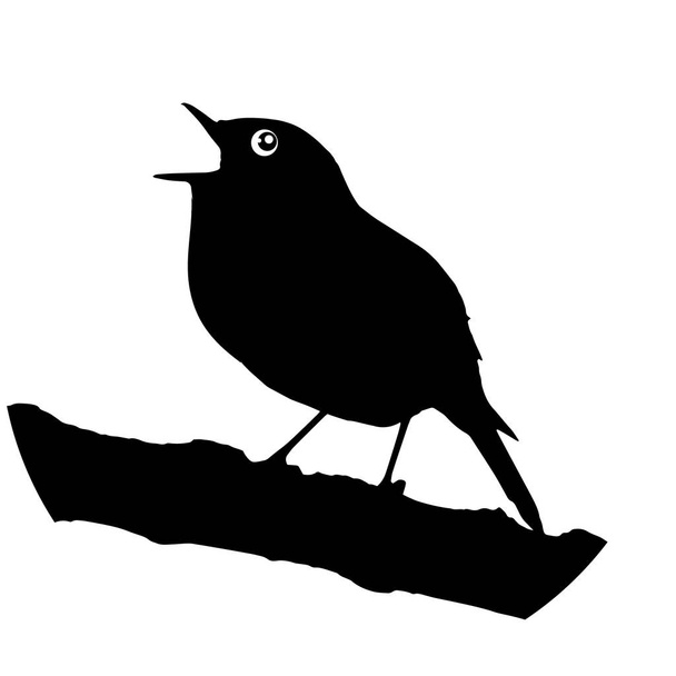 Vector singing robin redbreast - ベクター画像
