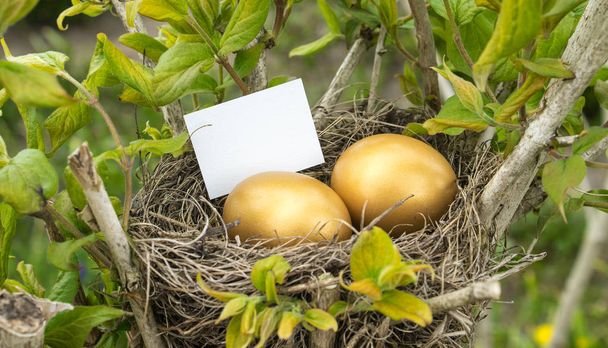 Ovos de Páscoa dourados - Foto, Imagem