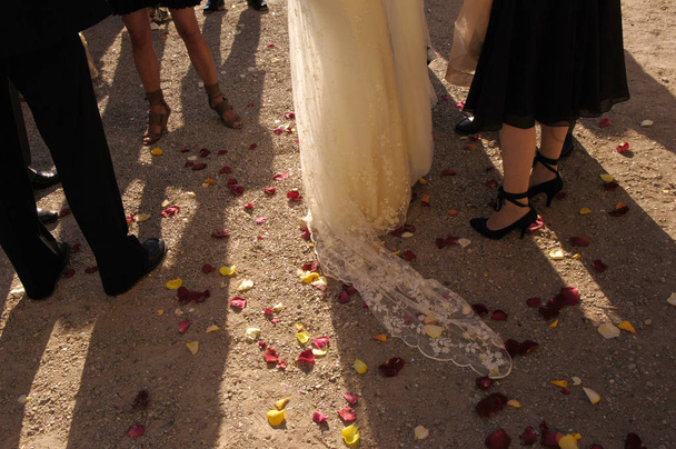 Pétalos y zapatos el dia de la boda - Photo, image