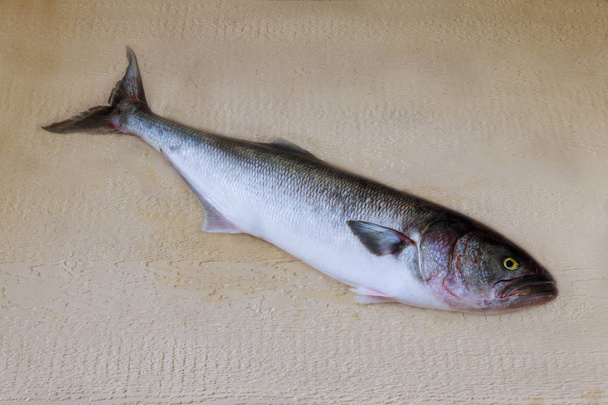 Grijze vis blyufish op houten stand tafelblad - Foto, afbeelding