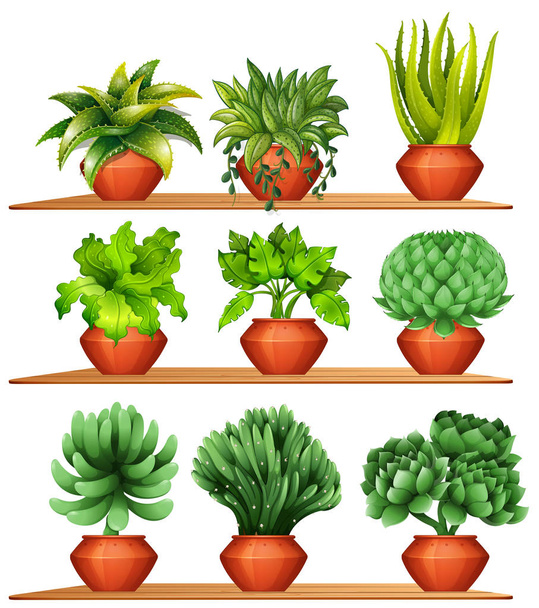 Different kinds of plants in clay pots - Vector, Image
