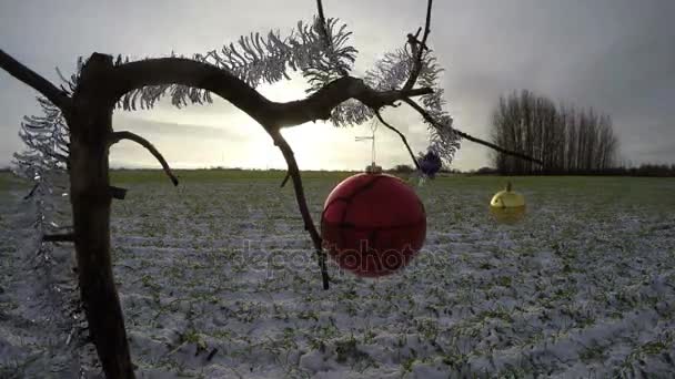  Kerstballen op tak in wind en wolken beweging, 4k - Video