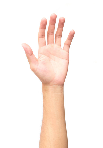Hand palms on white background, health care and medical concept - Photo, Image