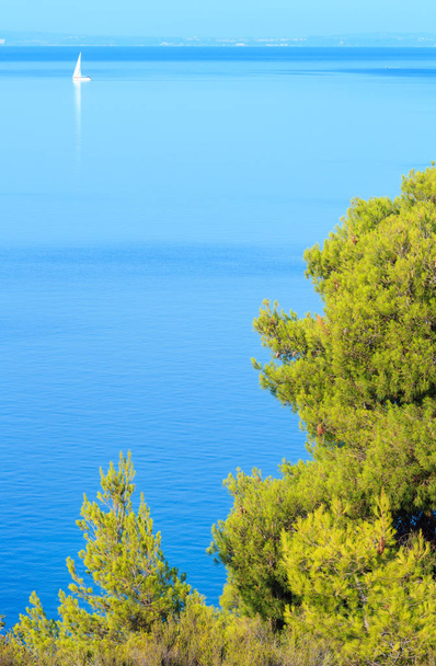 Morning Aegean coast, Sithonia, Greece.  - Foto, Imagem