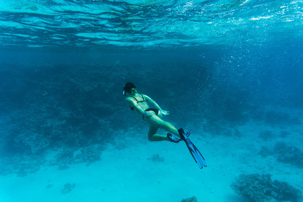 Podvodní fotografie ženy šnorchlování a potápění zdarma v čisté tropické vodě na korálovém útesu - Fotografie, Obrázek