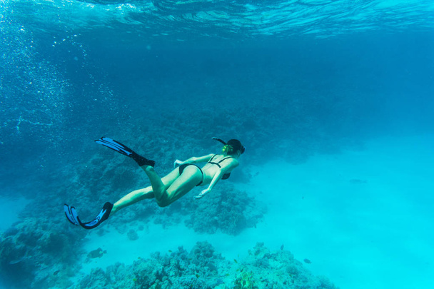 Belle plongeuse nageant parmi les récifs coralliens de la mer
 - Photo, image