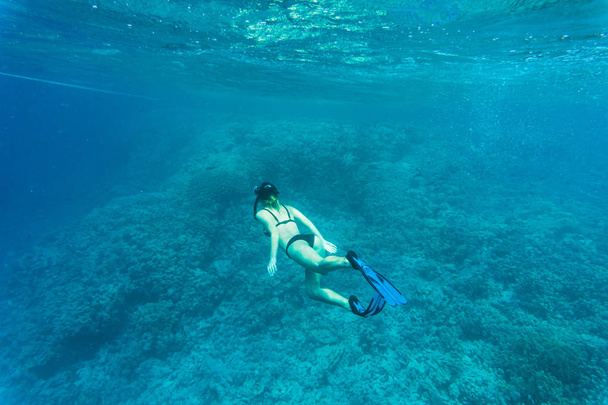 Krásný korálový útes s mladými volný potápěč ženou, podvodní život. Copyspace text - Fotografie, Obrázek