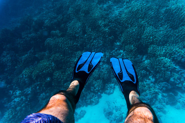Photo sous-marine de jambes d'homme avec des nageoires en eau peu profonde sur une plage tropicale
 - Photo, image
