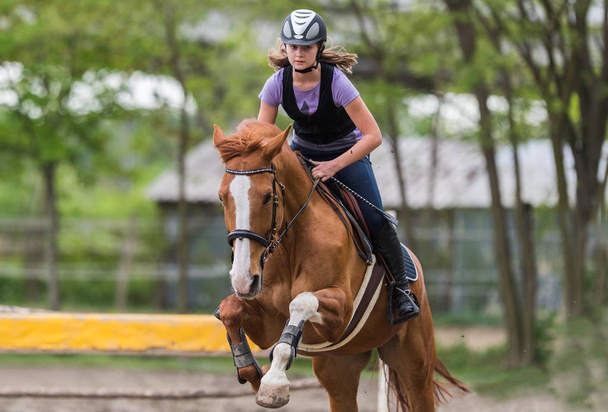 Молодая симпатичная девушка верхом на лошади - прыгает через бросок с баком
 - Фото, изображение