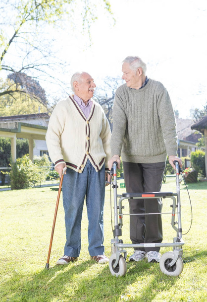 Couple of elderly friends in the garden - Photo, Image