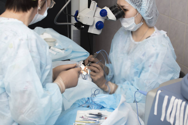 cristallino metodo chirurgico sostituibile lente
 - Foto, immagini