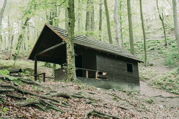 vecchia cabina nel bosco
 - Foto, immagini