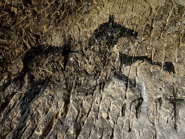 Czarny węgiel konie na ścienny piaskowca. Farba z polowania, prehistoryczne zdjęcie - Zdjęcie, obraz