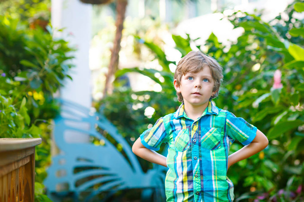 Little blond preschool kid boy discovering flowers and butterflies at botanic garden - Foto, afbeelding