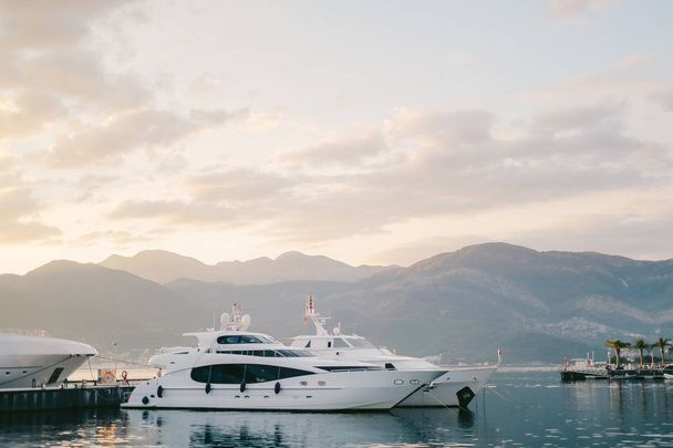 yacht porto montenegro. Elitebereich des Sports - Foto, Bild