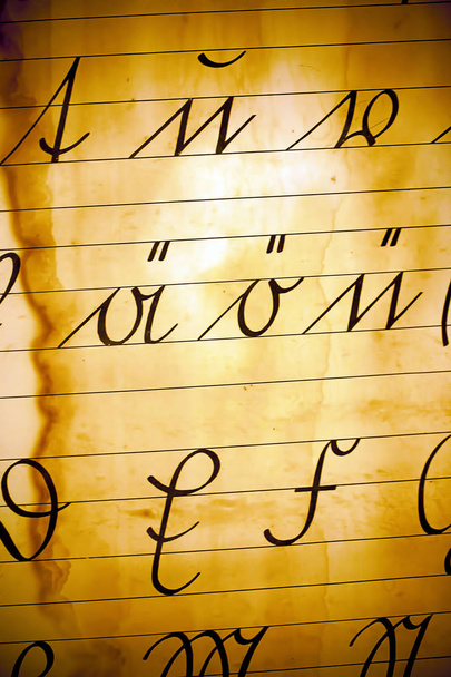 Vintage Latin Alphabets Background - Photo, Image