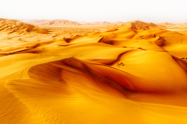 w oman stary pustynia al-Chali pustych kwartałów i odkryty  - Zdjęcie, obraz