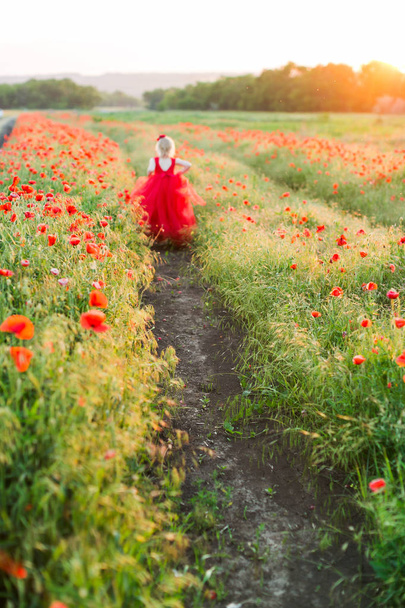 poppies, agriculture, production and ecology, nature and summer concept - little girl blonde at distance between rows of poppies in an agricultural field, shes back, dressed in a red ball gown. - Photo, Image