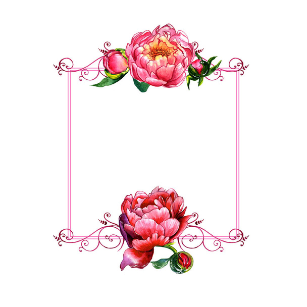 Wildflower peony flower frame in a watercolor style isolated. - Photo, image