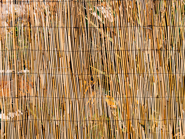Het patroon van bamboe. Dunne stokken. Droge bamboe. Een omheining gemaakt van bamb - Foto, afbeelding