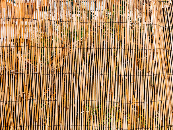 Textura de bambú. Palos finos. Bambú seco. Una cerca hecha de bambú
 - Foto, Imagen
