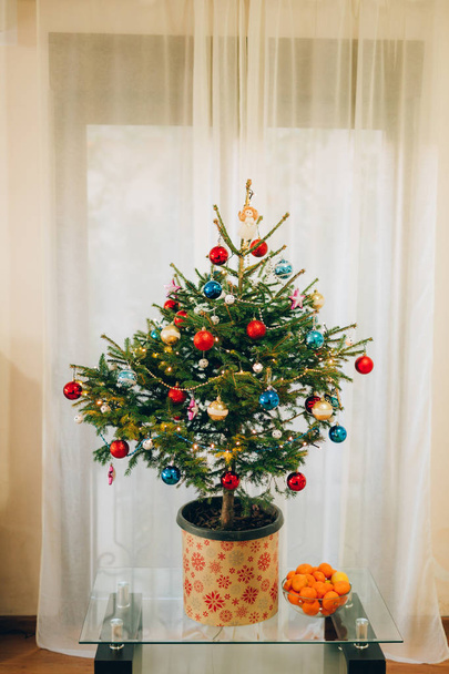 Un petit sapin de Noël dans un pot, décoré de boules, de guirlandes
 - Photo, image