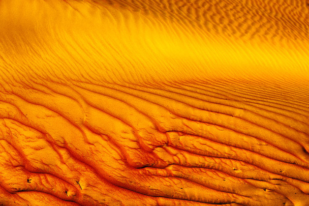 in oman the old desert and the empty quarter abstract  texture l - Photo, Image