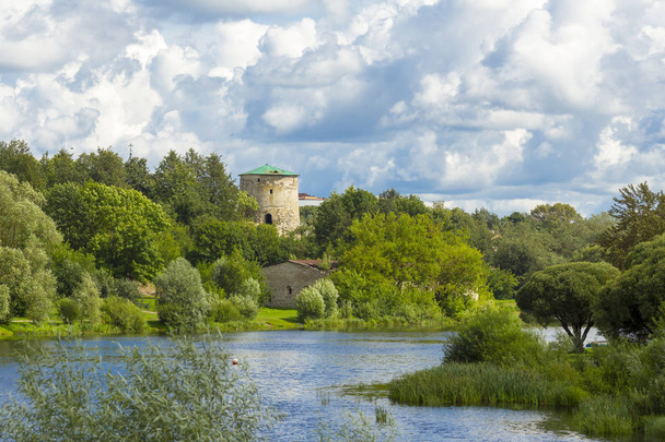 View from river on old tower among trees - Photo, image