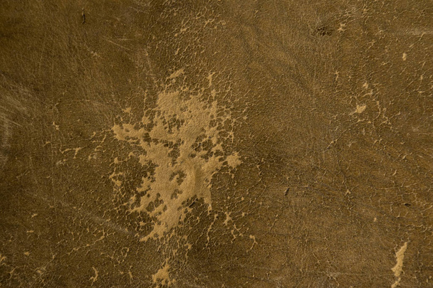 brown leather texture and background. - Valokuva, kuva