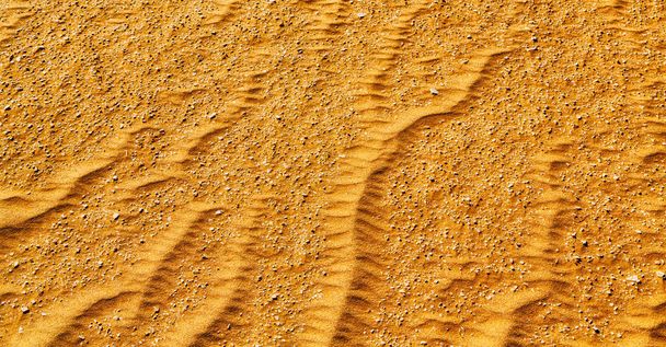 in oman the old desert and the empty quarter abstract  texture l - Photo, Image