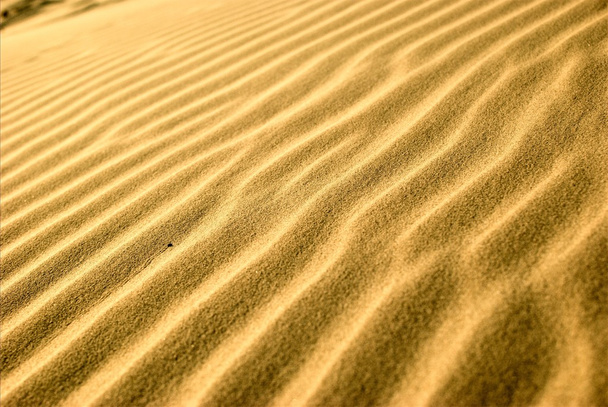 Desert Structures - Zdjęcie, obraz