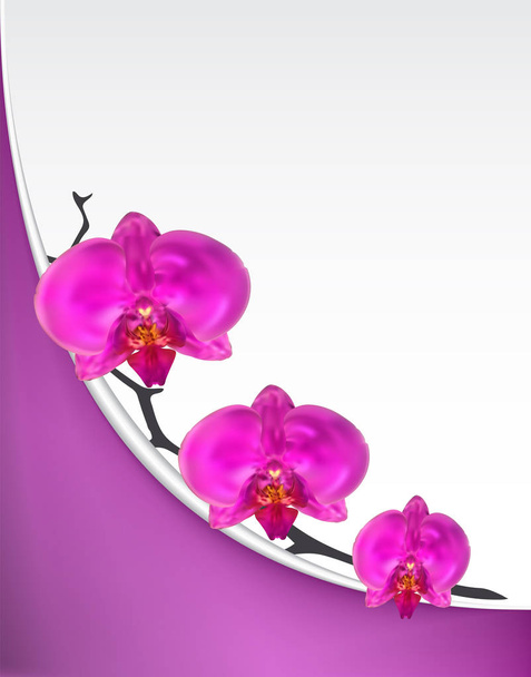 Zweigblüten der Orchidee rosa. Vektorillustration. - Vektor, Bild
