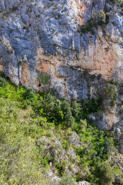 View on mountain rock with bushes - Foto, Bild