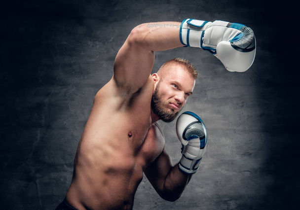 Bearded boxer in action - Photo, Image