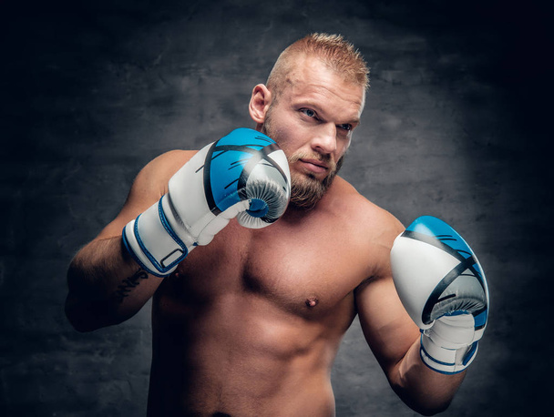 Bearded boxer in action - Photo, Image