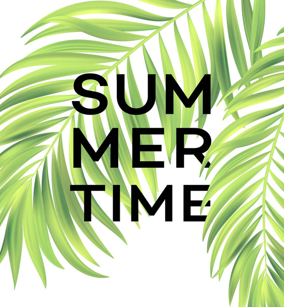 Summer poster with tropical palm leaf . Vector illustration - Vettoriali, immagini
