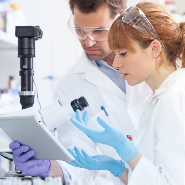 Health care researchers working in scientific laboratory. - Photo, Image