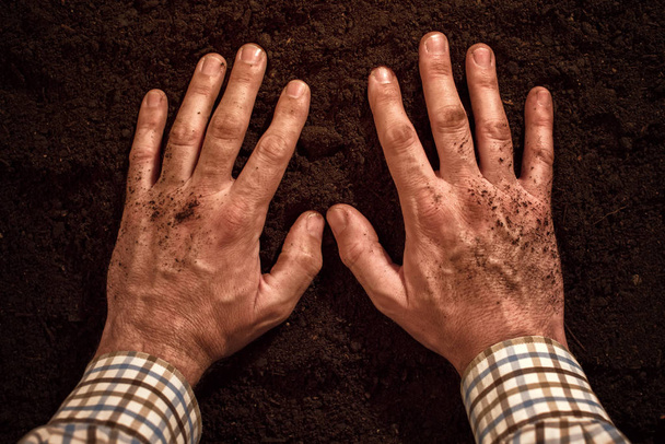 Farmers hands on fertile soil ground - Photo, image