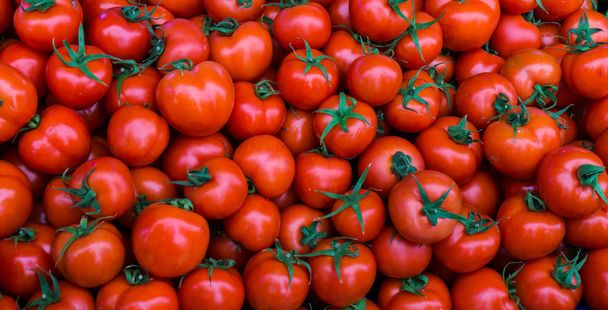 Grupa dojrzałych pomidorów czerwonych - Zdjęcie, obraz