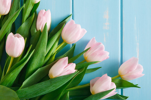 Tulipes sur fond de bois bleu, espace de copie
 - Photo, image