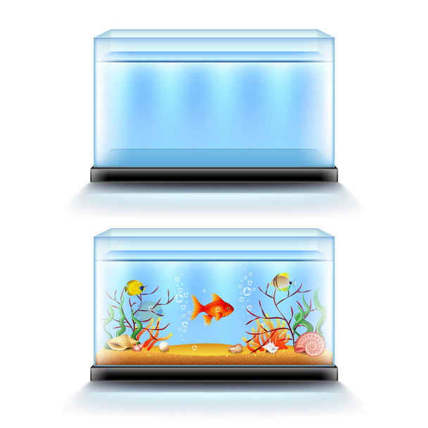 Ενυδρείο με ψάρια και κενό που απομονώνονται σε λευκό διάνυσμα - Διάνυσμα, εικόνα