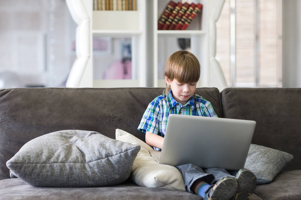 Little boy using laptop on a sofa at home - Zdjęcie, obraz