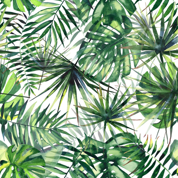 Beautiful bright green tropical wonderful hawaii floral herbal summer pattern of a monstera palms watercolor hand illustration - Фото, изображение