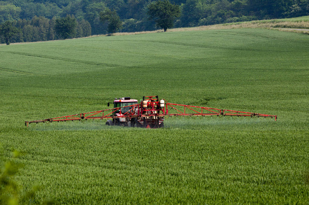 Ciągnika rozpylania pestycydów na duże zielone pole z młodych ziarna - Zdjęcie, obraz