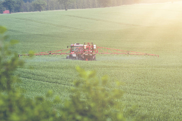 Pulvérisation de pesticides par tracteur sur un grand champ vert avec de jeunes céréales
 - Photo, image