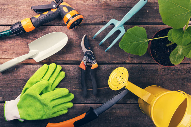 gardening tools and equipment on old wooden background - Photo, Image