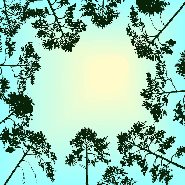 vector landscape with sky and pine trees - Vector, Image